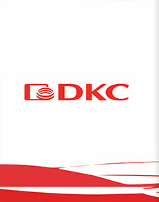 Семинар в г. Кемерово от DKC